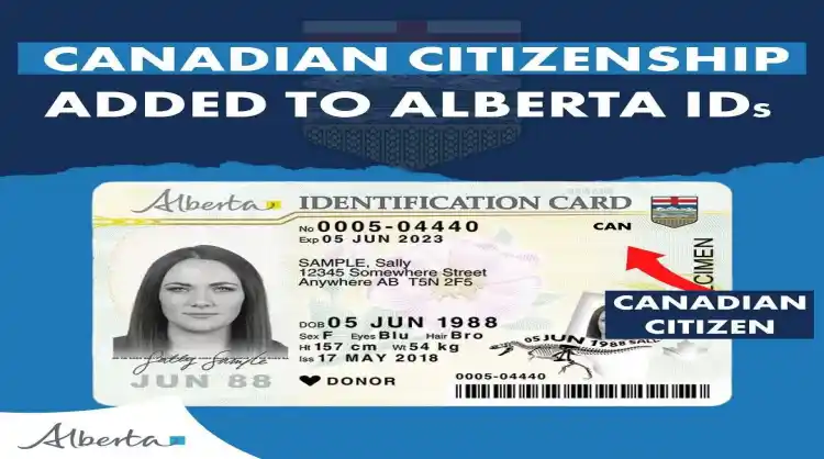 Alberta to become 1st province with 'citizenship markers' on driver's licences